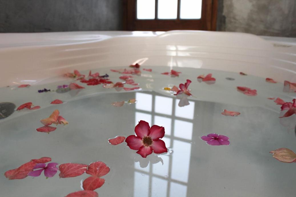 Breathe Healing & Wellness Ξενοδοχείο Cambutal Εξωτερικό φωτογραφία